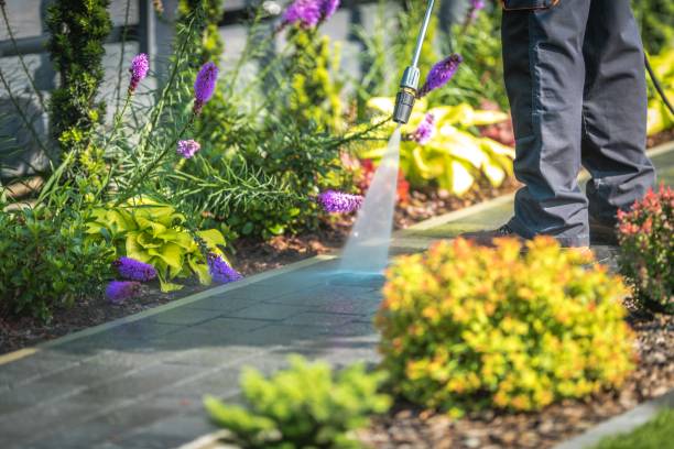 Best Sidewalk and Walkway Cleaning  in George West, TX