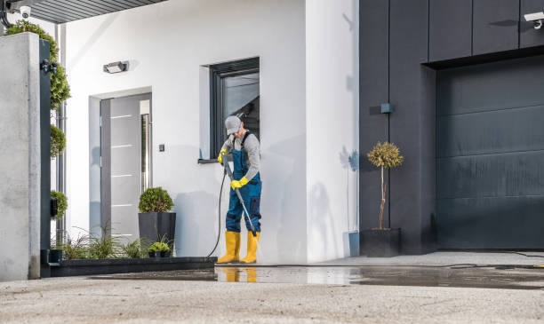 Best Pre-Holiday Cleaning  in George West, TX